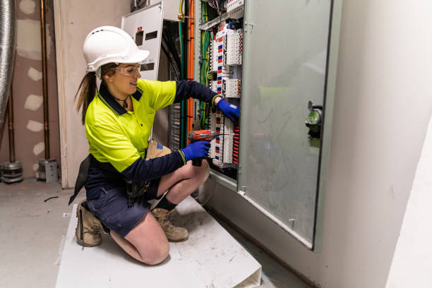 Best Electric Panel Repair  in Arcadia, SC