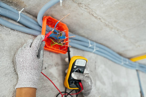 Best Licensed Electrician  in Arcadia, SC